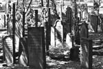 Aufrecht stehende aschkenasische Grabsteine auf dem jüdischen Friedhof Hamburg-Altona, 
Königstraße